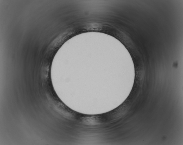 X0000115780652200912241812