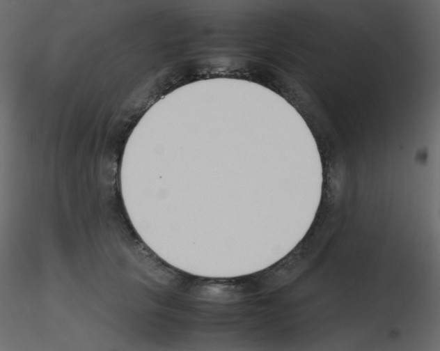 X0000115780657200912241812