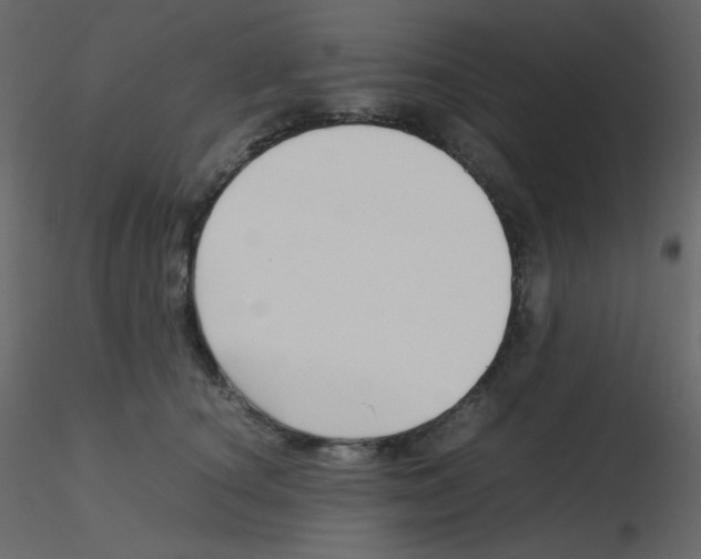 X0000115780660200912241812