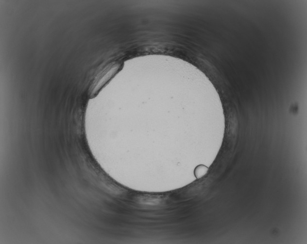 X0000115780661200912241812