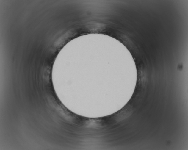 X0000115780664200912241812