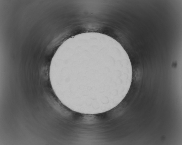 X0000115780666200912241812