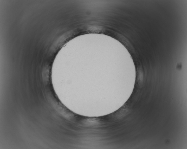 X0000115780668200912241812