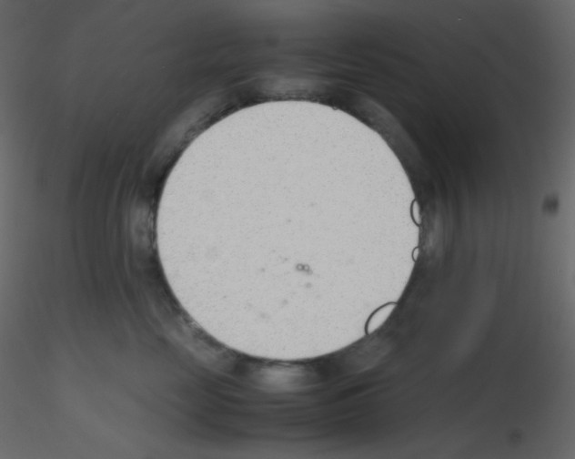 X0000115780669200912241812