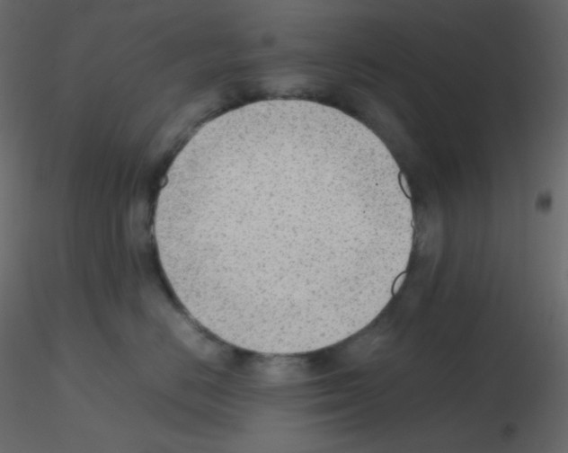 X0000115780670200912241812