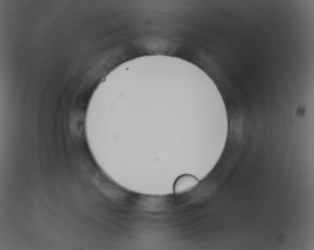 X0000115780671200912241812