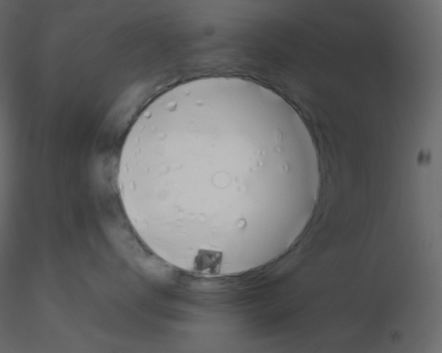 X0000115780672200912241812