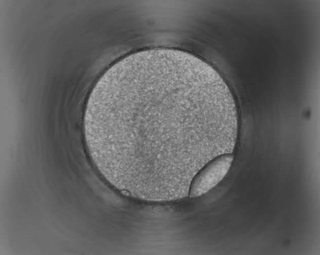 X0000115780673200912241811