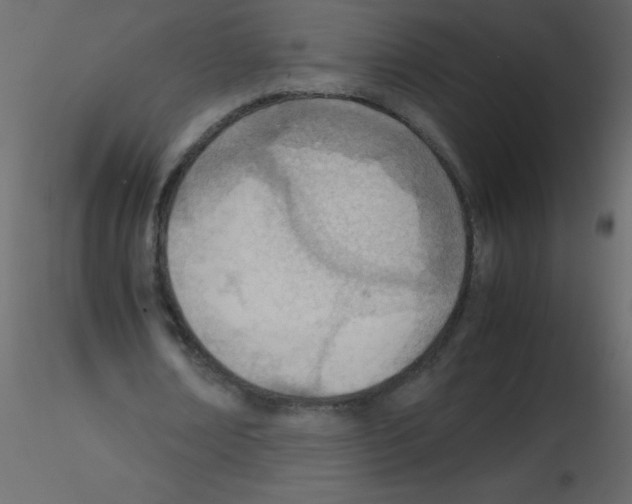 X0000115780674200912241811