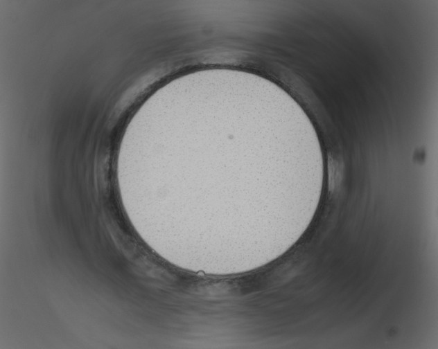 X0000115780675200912241811