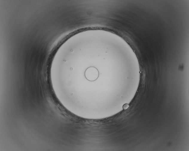 X0000115780676200912241811