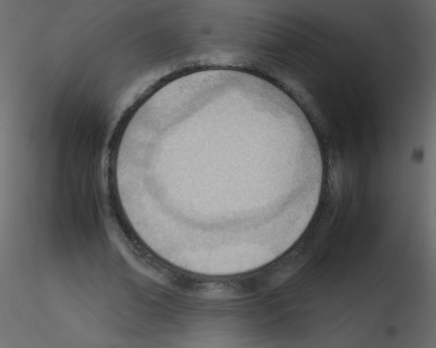 X0000115780678200912241811