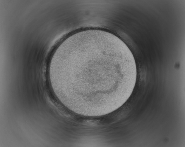 X0000115780680200912241811