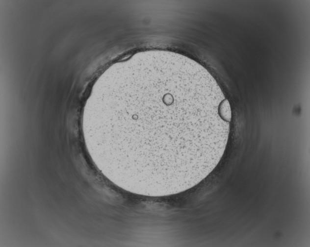 X0000115780681200912241811