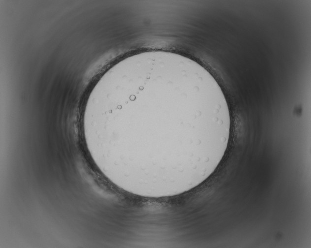 X0000115780682200912241811