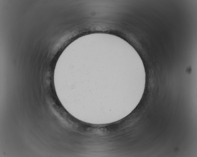 X0000115780683200912241811