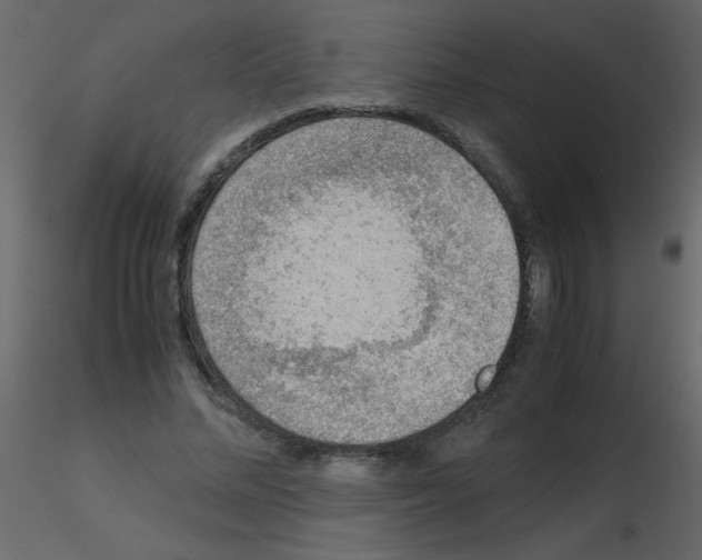 X0000115780684200912241811