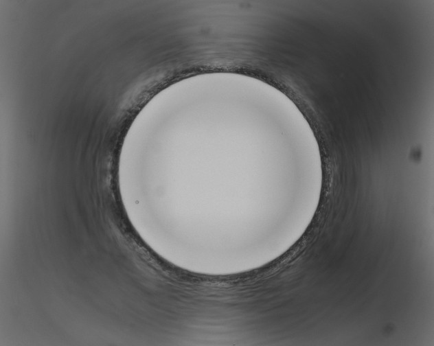 X0000115780685200912241811