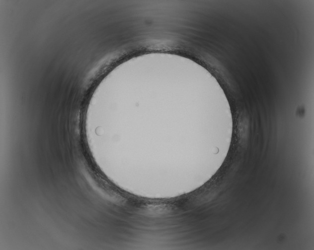 X0000115780686200912241811