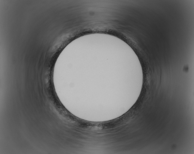 X0000115780687200912241811