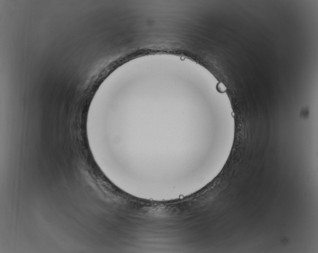 X0000115780688200912241811