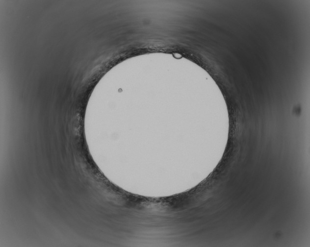 X0000115780689200912241811