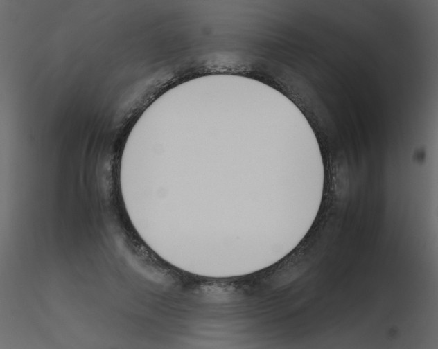 X0000115780690200912241811