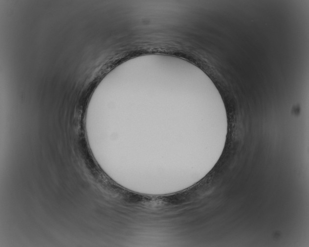 X0000115780695200912241811