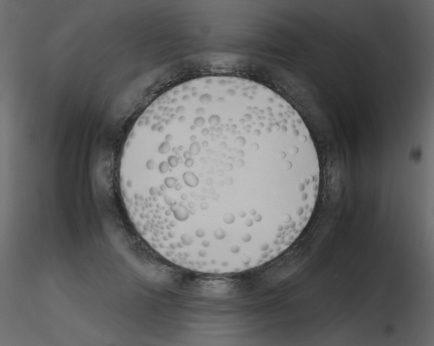 X0000115780698200912241811