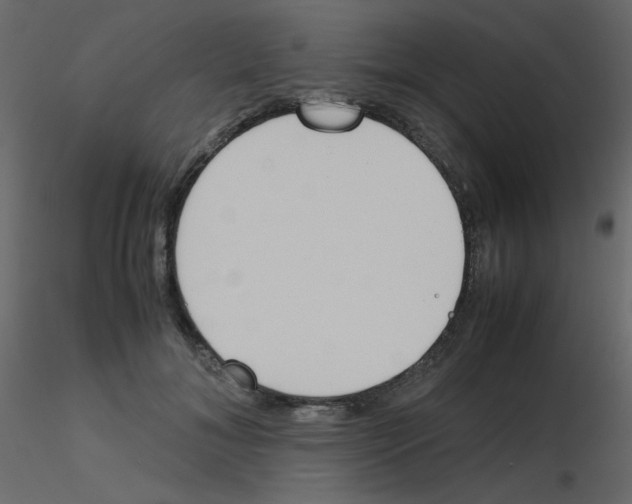 X0000115780700200912241811