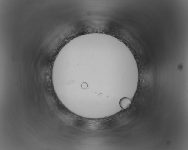 X0000115780701200912241811