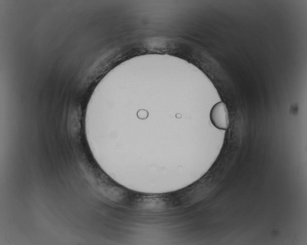 X0000115780702200912241811