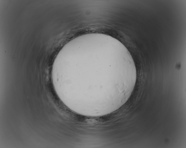 X0000115780703200912241811