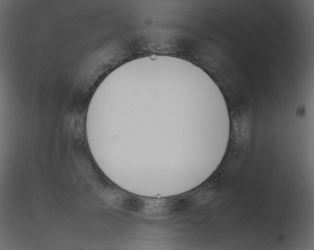 X0000115780705200912241811