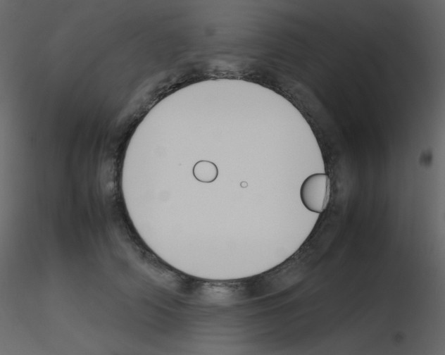 X0000115780706200912241811