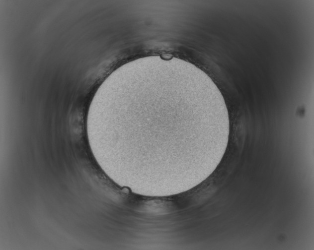 X0000115780708200912241811