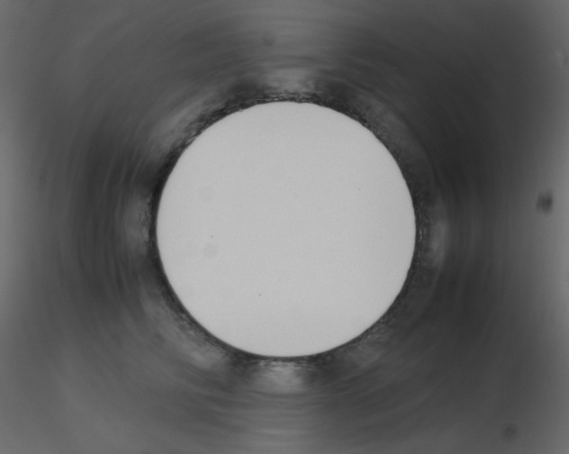 X0000115780710200912241811