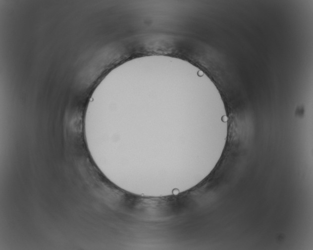 X0000115780713200912241811