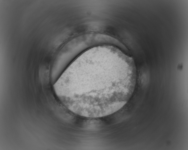 X0000115780716200912241811