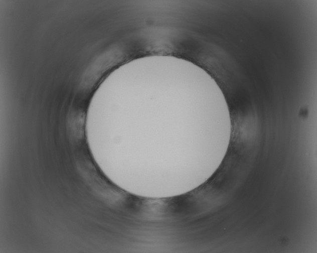 X0000115780717200912241811