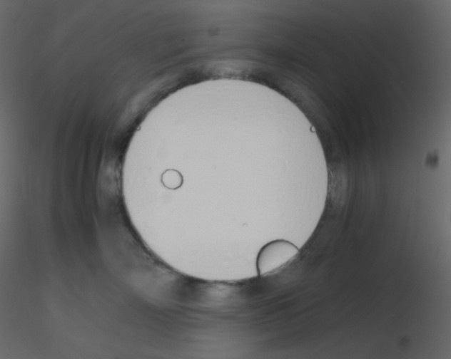 X0000115780718200912241811