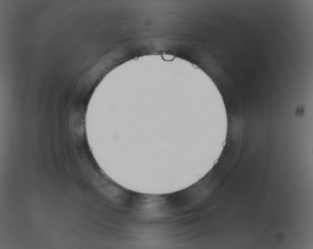 X0000115780719200912241811