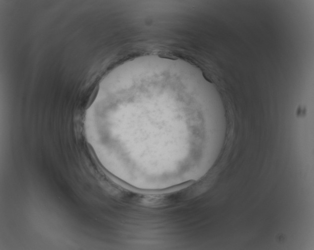 X0000115780720200912241810