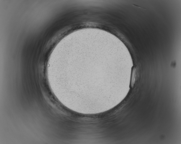 X0000115780722200912241810