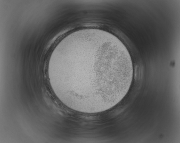 X0000115780723200912241810