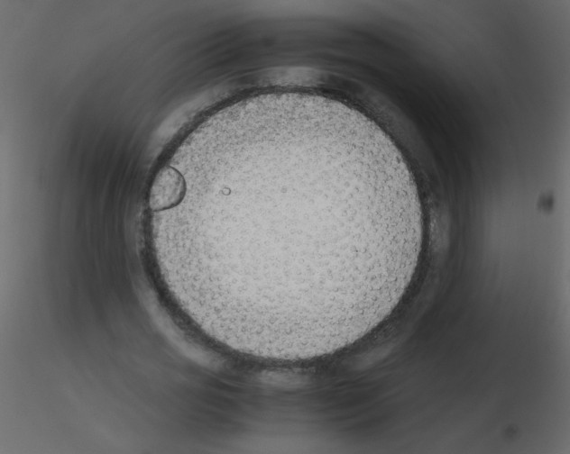 X0000115780725200912241810