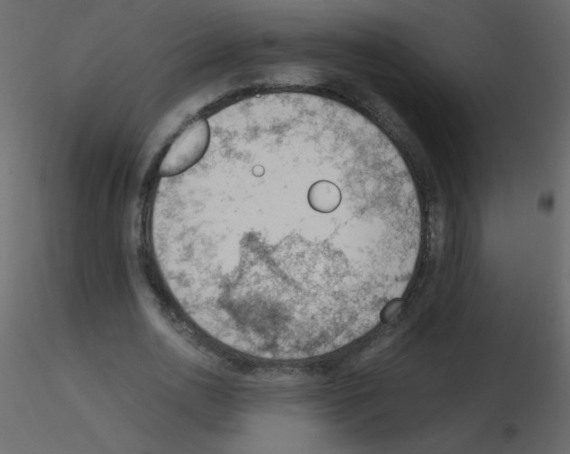 X0000115780726200912241810