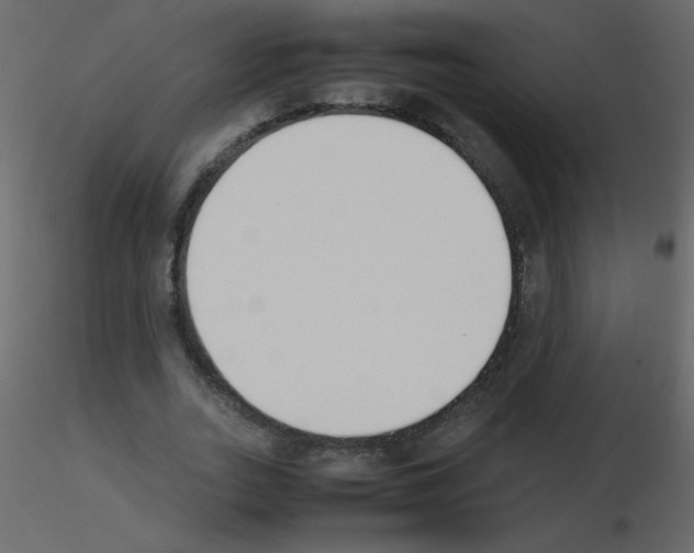 X0000115780727200912241810