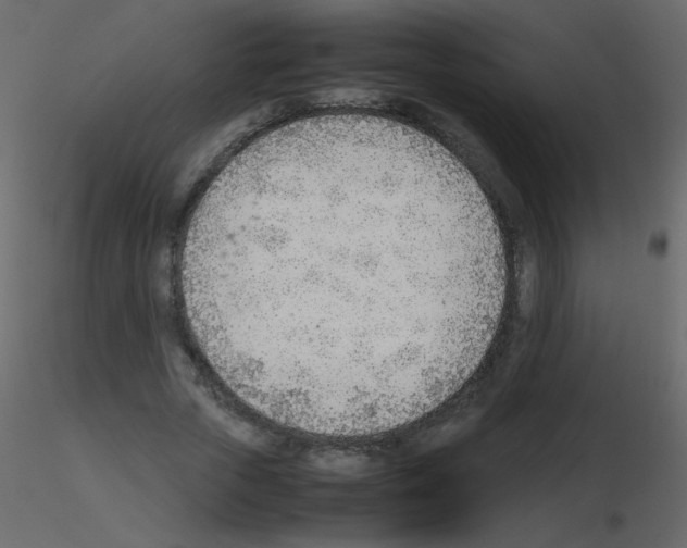 X0000115780729200912241810