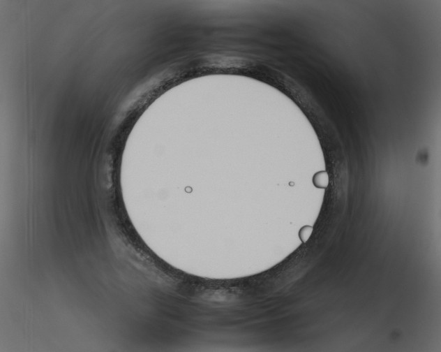 X0000115780731200912241810